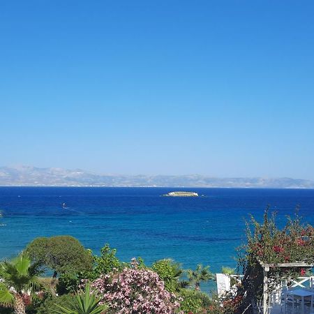 Paros Blue Dolphin Fully Renovated By Rivea Group Chrisi Akti  Exterior photo
