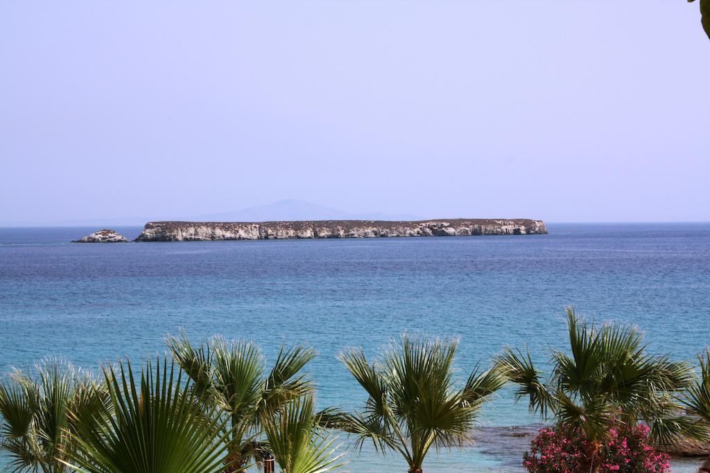 Paros Blue Dolphin Fully Renovated By Rivea Group Chrisi Akti  Exterior photo