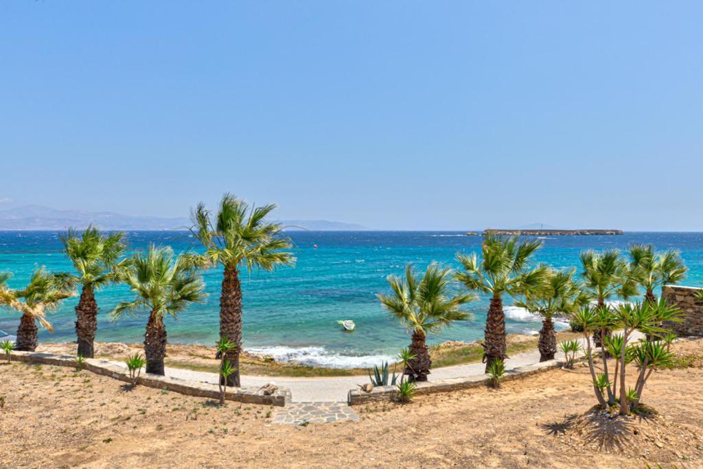 Paros Blue Dolphin Fully Renovated By Rivea Group Chrisi Akti  Exterior photo