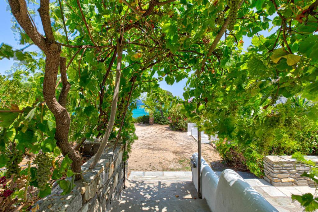 Paros Blue Dolphin Fully Renovated By Rivea Group Chrisi Akti  Exterior photo