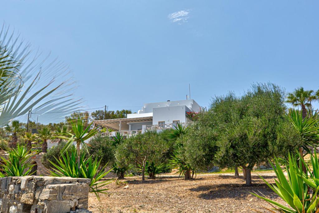 Paros Blue Dolphin Fully Renovated By Rivea Group Chrisi Akti  Exterior photo