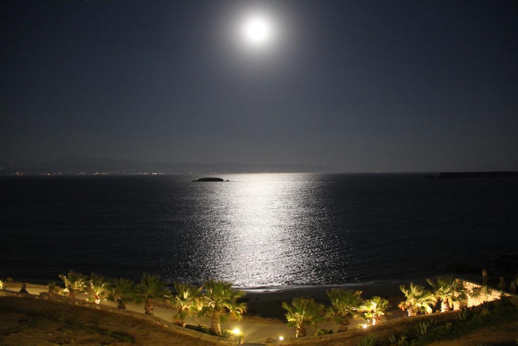 Paros Blue Dolphin Fully Renovated By Rivea Group Chrisi Akti  Exterior photo