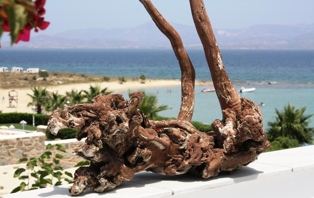 Paros Blue Dolphin Fully Renovated By Rivea Group Chrisi Akti  Exterior photo