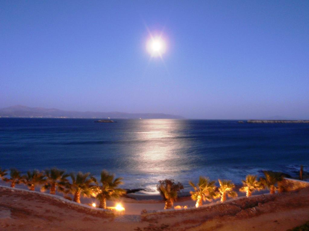 Paros Blue Dolphin Fully Renovated By Rivea Group Chrisi Akti  Exterior photo